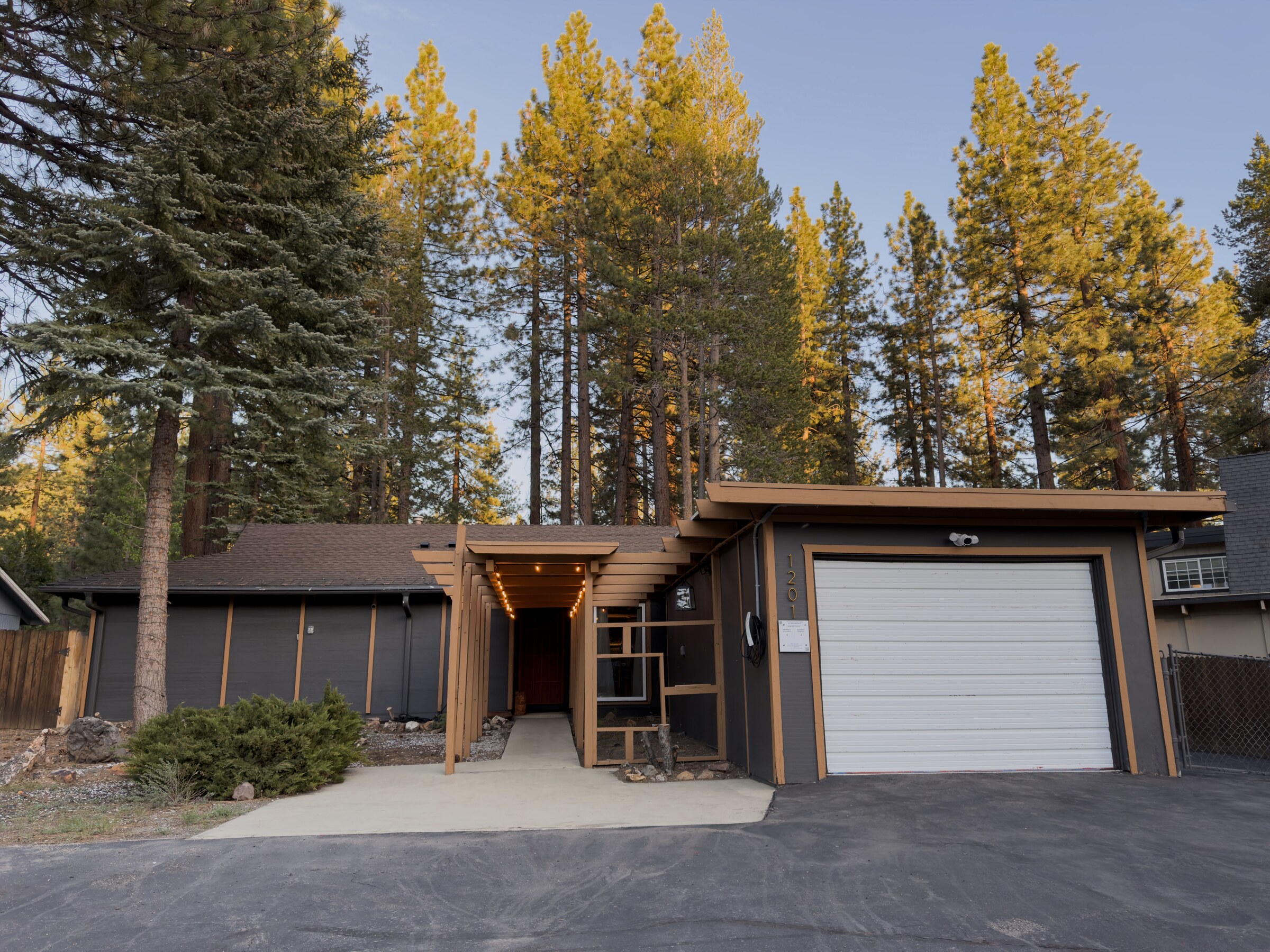 Front · pine grove