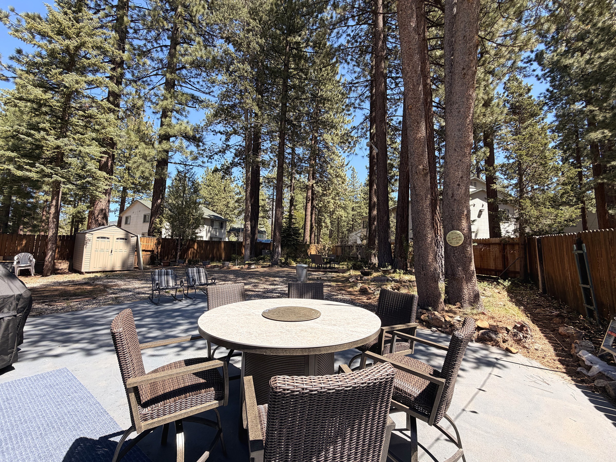 Patio dining and firepit table ringed by tall pines